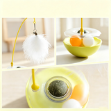 Toy with Feather Wand
