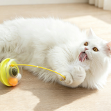 Toy with Feather Wand